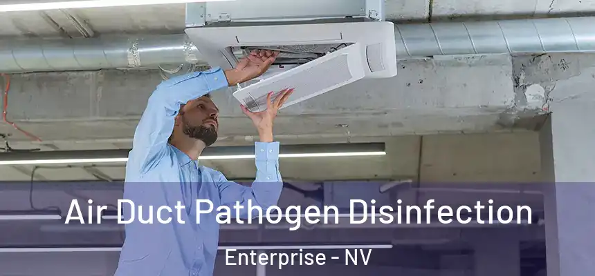 Air Duct Pathogen Disinfection Enterprise - NV