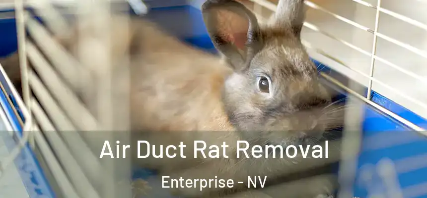  Air Duct Rat Removal Enterprise - NV