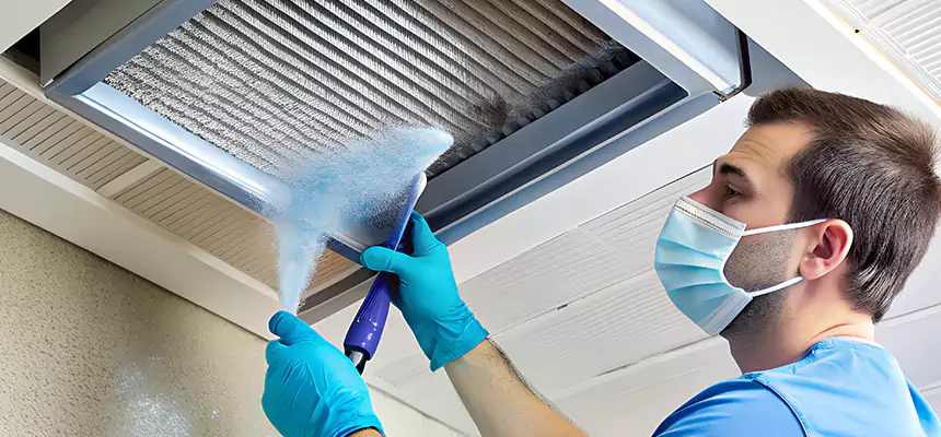 Proactive Dryer Vent & Auxiliary Duct Pollen Cleanup in Enterprise, NV