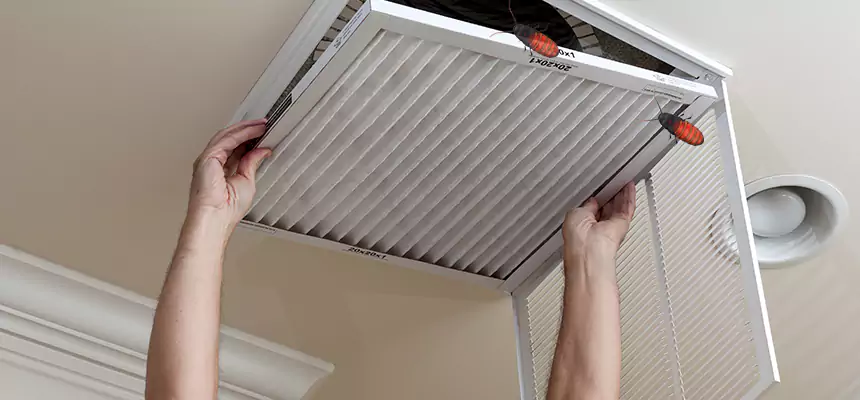 Our Insect Removal from Air Ducts Services in Enterprise, NV