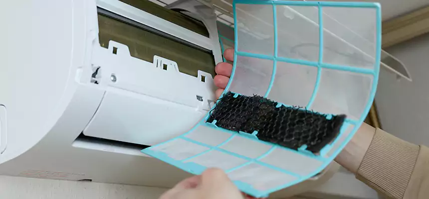 Gentle Ductwork Odor-Control Pet Dander Duct Cleaning in Enterprise, NV