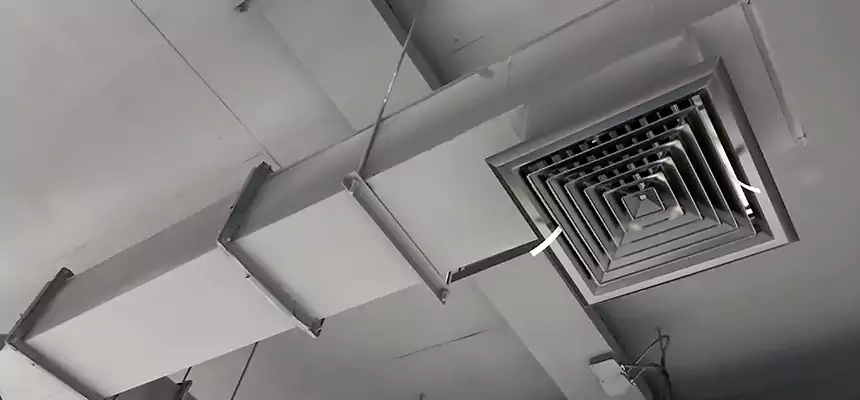 Our Rodent Droppings In Vents Services in Enterprise, NV