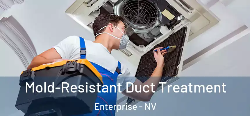 Mold-Resistant Duct Treatment Enterprise - NV