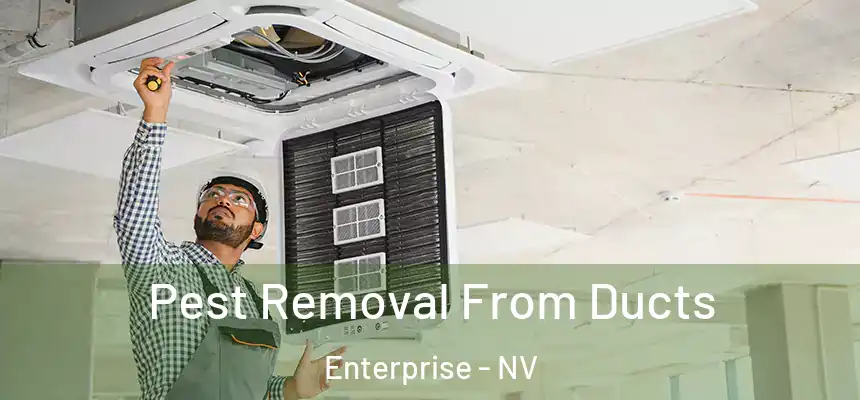 Pest Removal From Ducts Enterprise - NV