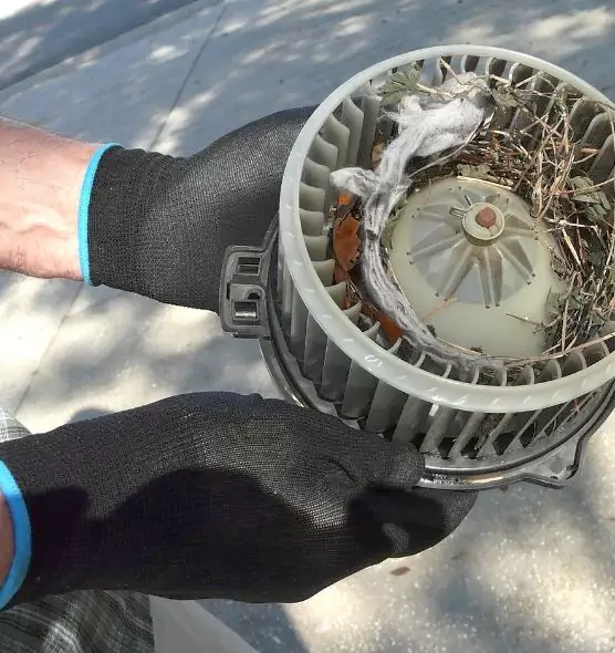 About Air Duct Mice Removal in Enterprise, NV