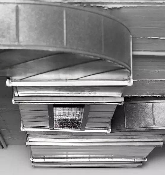 Professional Air Duct Pet Hair Removal in Enterprise, NV