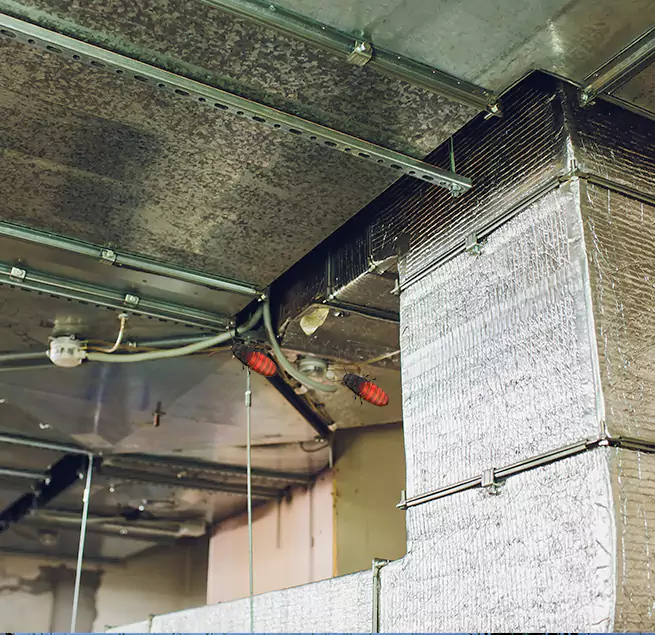 Why Homeowners & Businesses Trust Us in Enterprise, NV?