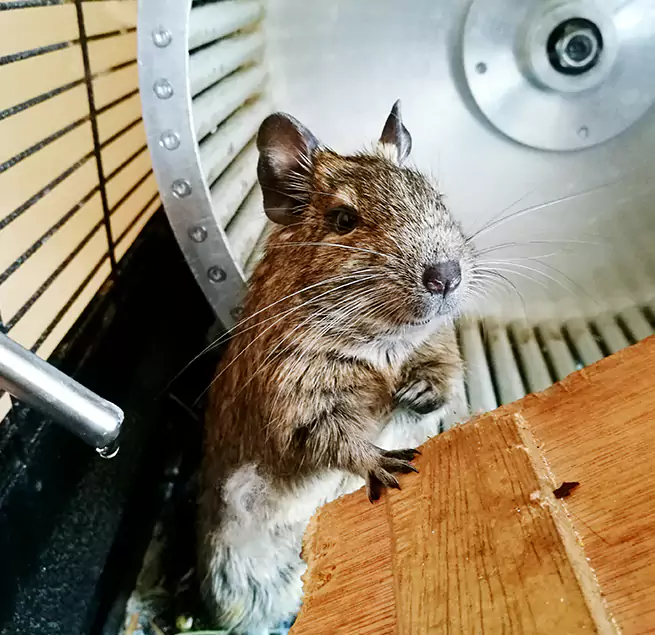 Why Homeowners & Businesses Trust Us Enterprise, NV?