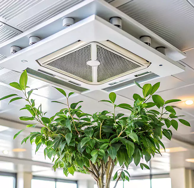 Why Homeowners & Businesses Trust Us in Enterprise, NV